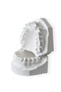 Dental correction, orthodontic molds isolated on white background