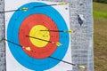 Closeup on outdoor archery target board with arrows Royalty Free Stock Photo