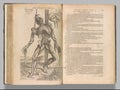 Closeup of a page in the Atlas of Human anatomy book showing male muscles and organs by Vesalius Royalty Free Stock Photo