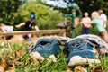 Closeup of a pair of baby shoes on the grass in a garden under the sunlight with a blurry background