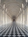 Closeup of the Palace of Venaria Reale interior in Venaria, Italy