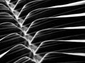 Closeup palm leaves patterns.