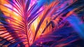 Closeup of a palm tree with sunlight filtering through its lush green leaves, AI-generated. Royalty Free Stock Photo