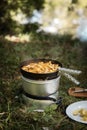 Closeup of a pan full of chanterelles placed on grass with a cutting board and a plate