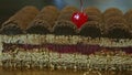 Closeup panorama on half of modern shaped chocolate cake with cherry interlayer