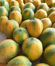 Closeup of papaya fruit, Binan wholesale market