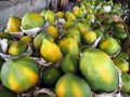 Closeup of papaya fruit, Binan wholesale market