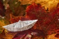 Closeup paper boat from newspaper among bright colorful leaves in street puddle. Concept of romantic autumn Royalty Free Stock Photo