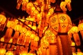 Closeup paper lantern tree at night.