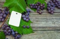 Closeup Paper tag template on grapes. Vine and grapes, leaves on vintage rustic wood Royalty Free Stock Photo