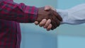 Closeup part of human body diverse male partners shake hands, conclude successful contract agreement, sign of support
