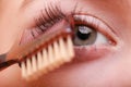 Closeup part of woman face eye makeup detail. Royalty Free Stock Photo