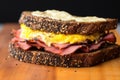 closeup of a pastrami sandwich on rye bread, mustard dripping Royalty Free Stock Photo