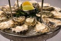 Closeup of a patter of fresh oysters garnished with lemon wedges