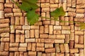 Closeup pattern background of many different wine corks with dates and drops of wine - Image