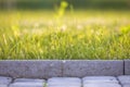 Closeup of pavement curb with green grass lawn behind Royalty Free Stock Photo