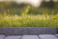 Closeup of pavement curb with green grass lawn behind Royalty Free Stock Photo