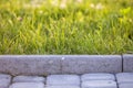 Closeup of pavement curb with green grass lawn behind Royalty Free Stock Photo