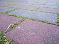 Closeup of pavement with grass Royalty Free Stock Photo