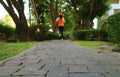 Closeup of paving path in a garden with blurry jogging woman in the backdrop Royalty Free Stock Photo