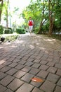Closeup the paving path in the park with blurry jogging woman in afar Royalty Free Stock Photo