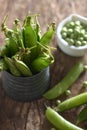 Closeup of pea pods in a metal container with bowl of peas next to it on a wooden table Royalty Free Stock Photo