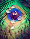 Closeup of peacock eye feather with water drops in vivid colors Royalty Free Stock Photo