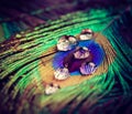 Closeup of peacock eye feather with water drops in vivid colors Royalty Free Stock Photo