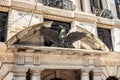 Closeup of a pediment sculpture, a bird with open wings Royalty Free Stock Photo