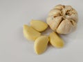 Closeup peeled garlic Allium sativum on a white background