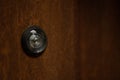 Closeup of the peephole on the wooden door Royalty Free Stock Photo