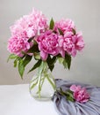 Closeup of peony flowers, fluffy pink peonies flowers, peony bunch in vase on the table Royalty Free Stock Photo