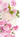 Closeup of peony flowers, fluffy pink peonies flowers, peony bunch in vase on the table Royalty Free Stock Photo