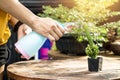 Closeup people hand watering small cactus plant in pot for growing up nature Royalty Free Stock Photo