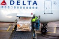 Closeup of people loading cargo into the Delta airplane at Schiphol Amsterdam Airport