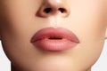 Closeup perfect natural lip makeup. Beautiful plump full lips on female face. Clean skin, fresh make-up. Spa tender lips