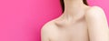 Closeup of perfect neck and clavicles. Royalty Free Stock Photo
