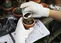 Closeup of person gardening greenery ecology