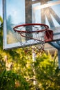 Closeup photo of a backboard or Basketball hoop in the garden.