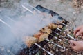 Closeup photo of barbecue grill with chicken meat on outdoor in the summer time. Man cooking food in nature.