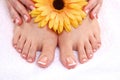 Closeup photo of a beautiful female feet with pedicure Royalty Free Stock Photo
