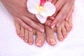 Closeup photo of a beautiful female feet with red pedicure isolated on white Royalty Free Stock Photo