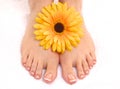 Closeup photo of a beautiful female feet with red pedicure on white Royalty Free Stock Photo