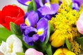 Closeup photo of the bouquet of fresh spring flowers with irises and tulips Royalty Free Stock Photo