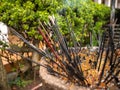 Closeup image of burning incenses in the sanctuary at buddhist temple