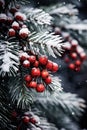 the snowy elegance of a silver pine branch adorned with Christmas decor