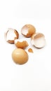 Raw Chicken Egg's Shell Royalty Free Stock Photo