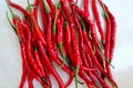 Closeup photo of Curly red chillies pepper Cabai merah keriting Royalty Free Stock Photo
