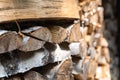 Closeup photo of dry birch logs stacked in rows, illuminated by sunlight. The structure of the tree. Decorative wooden layout.