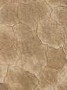 closeup photo of dry ground cracks, cracks in the ground, background Royalty Free Stock Photo